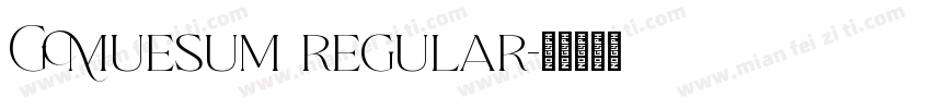 G Muesum regular字体转换